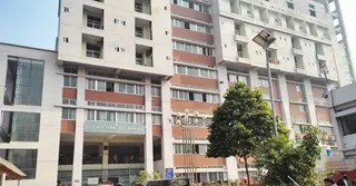 চাঁপাইনবাবগঞ্জে ভারতীয় বন্য শুকরের আক্রমণে আহত ৪